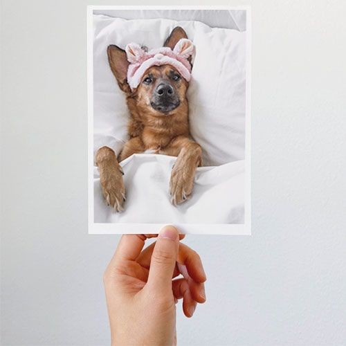 Photographic Prints