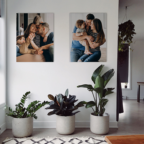 Canvas Prints