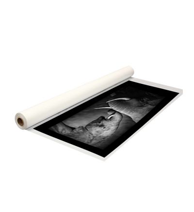 Single Image with Black Border - Canvas Print Only