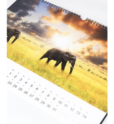 Landscape Calendar Plain 2022