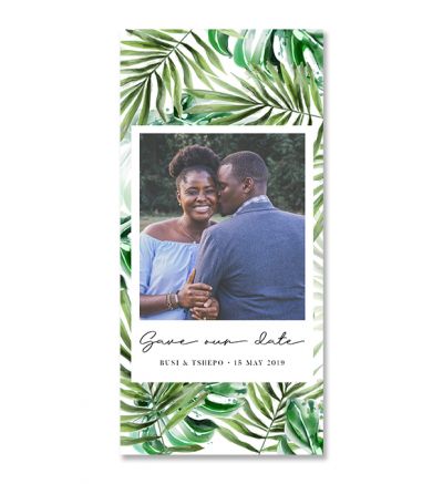 Printed Cards - DL Tropical - Set of 6