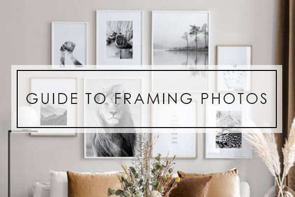 Guide To Framing Photos