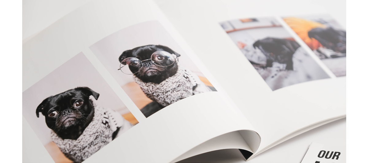 THE FUR FAMILY PHOTOBOOK